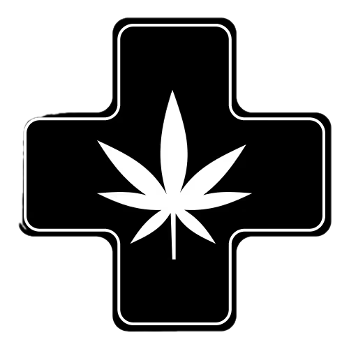 Foto de perfil de Pedro Henrique Santos Pereira